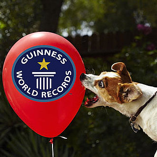 What Animals Set Guinness World Records?