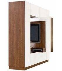 Room Divider TV Stand