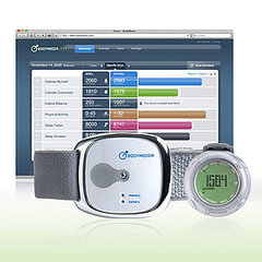 Review of BodyMedia Fit System
