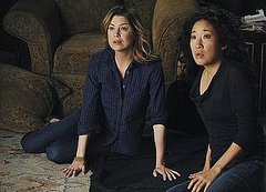 Grey's Anatomy Recap "Shock to the System"