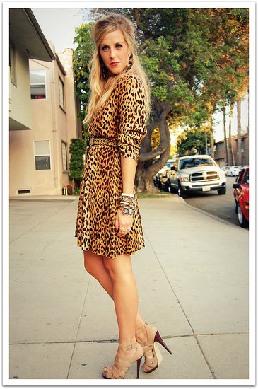 LEOPARD ON LEOPARD