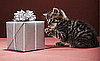 The Most Extravagant Gifts