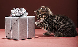 The Most Extravagant Gifts