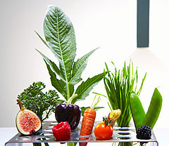 Do You Know Which Foods Are Richer in Antioxidants? Do You Know Which Foods Are Richer in Antioxidants?