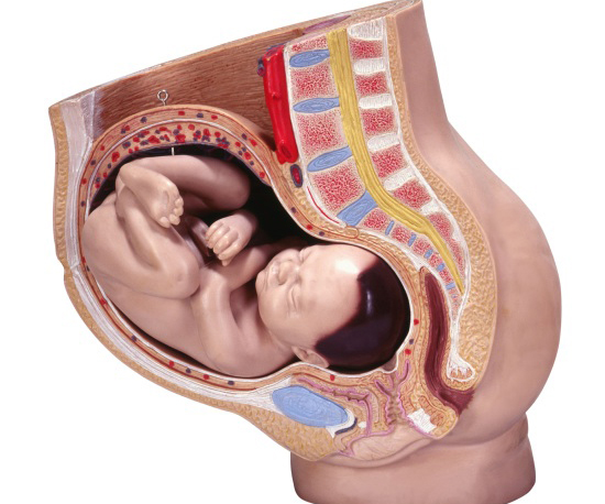 Did Your Baby Arrive on Time?