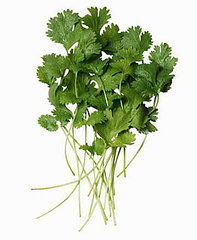 The Benefits of Eating Cilantro