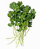 The Benefits of Eating Cilantro