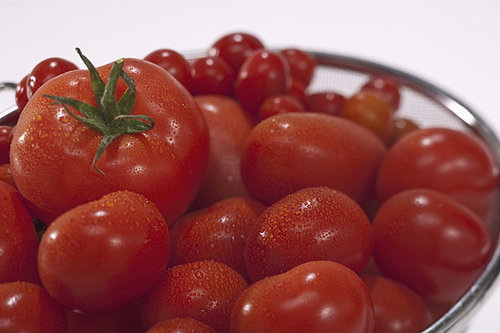 Refrigerating Tomatoes