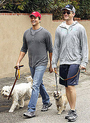 Pictures of Neil Patrick Harris and David Burtka Walking Their Dogs in Studio City, CA Pictures of Neil Patrick Harris and David Burtka Walking Their Dogs in Studio City, CA