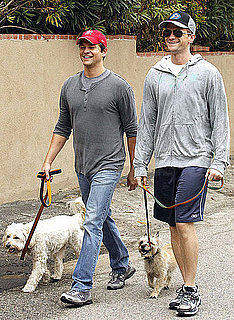 Pictures of Neil Patrick Harris and David Burtka Walking Their Dogs in Studio City, CA