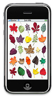 Free Fall iPhone and iPad Wallpapers