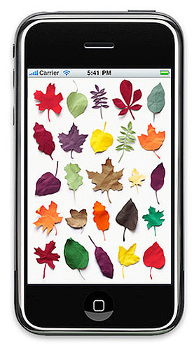 Free Fall iPhone and iPad Wallpapers