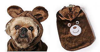 Dog Halloween Costumes For Any Day