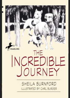 The Incredible Journey The Incredible Journey