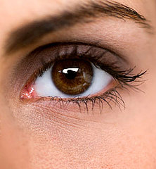 Definition of Browtox Definition of Browtox