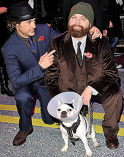 Pictures of Robert Downey Jr and Zach Galifianakis at London Due Date Premiere
