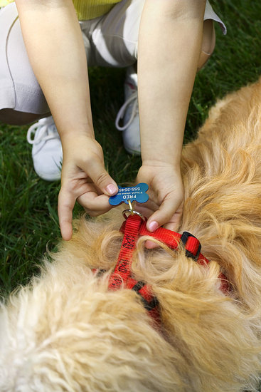 Would You Put a Pet's Name?
