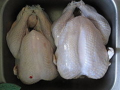 Do You Spend More For an Organic, Free-Range, or Local Turkey?