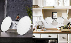 Bang & Olufsen iPod and iPad Dock Price