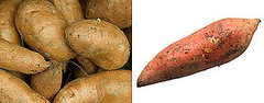 Yams vs. Sweet Potatoes