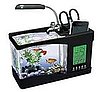 USB-Powered Desktop Aquarium