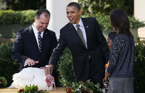 Presidential Turkey Pardon 2010 and Barack Obama at the White House