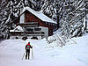 Muscles Used in Common Winter Sports