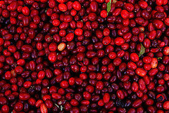 What to Do With Fresh Cranberries