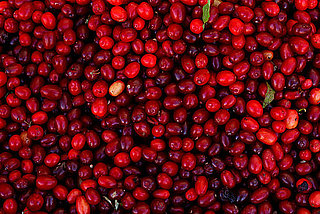 What to Do With Fresh Cranberries