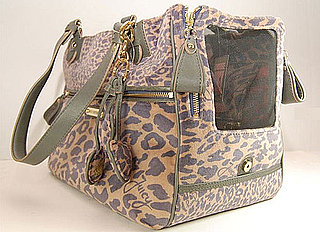 Juicy Couture and Doggy Couture Dog Clothing and Collars