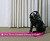 Best Creepy Gadgets