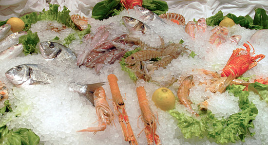 Feast of the Seven Fishes Feast of the Seven Fishes
