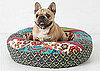 Online Sale Alert! Anthropologie Doggie Gear