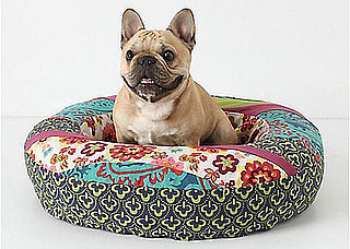 Online Sale Alert! Anthropologie Doggie Gear