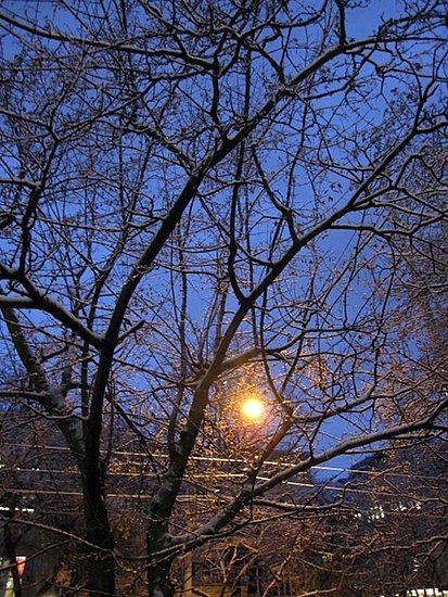 a street lamp in Basel
