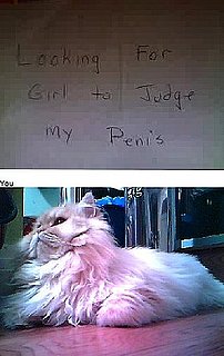 Who's Behind Chatroulette?