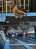 Cardio Trampoline Class Review