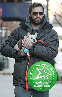 Best Celebrity Pets