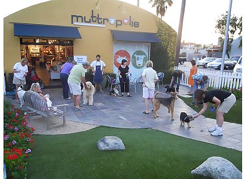 Looking for Pup Events in Southern California?