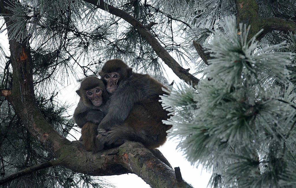 Baby, It's Really Cold Outside! Baby, It's Really Cold Outside!