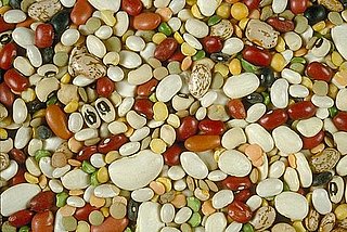 Preferred Bean to Cook With