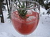 Rosemary Cranberry Martini Recipe