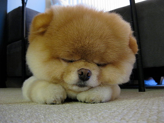 Sleepy Time