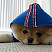 In the Hood