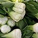 The Winter Food: Baby Bok Choy