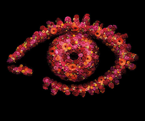 Poll on Big Brother Return to TV on Channel 5