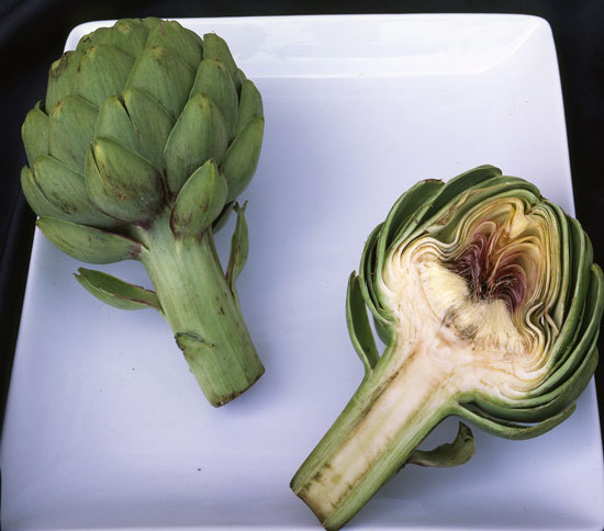 Artichokes Artichokes