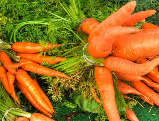 Carrots Carrots