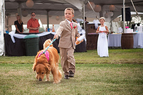 This pooch is wearing a bandanna that says "I do too" — how cute is that?
Photo by Tina Jay Photography
This pooch is wearing a bandanna that says "I do too" — how cute is that?
Photo by Tina Jay Photography