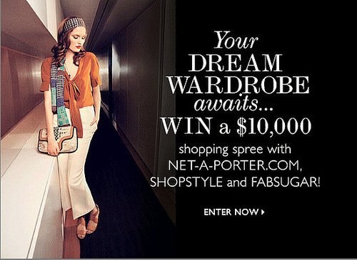 Win a $10,000 Wardrobe From NET-A-PORTER! 2011-03-01 11:45:42